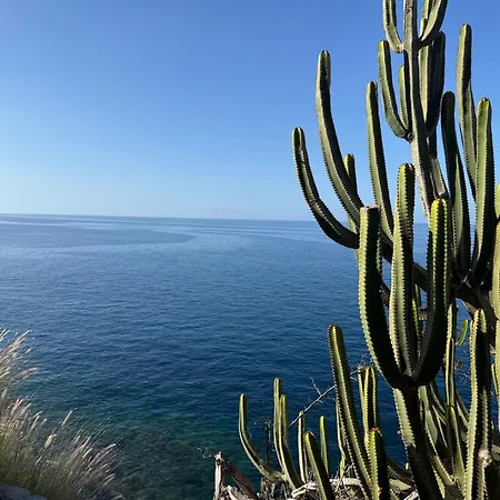 Oceanica Mogán